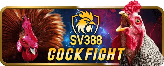 Hình ảnh đội ngũ hỗ trợ khách hàng 24/7 của VIP52 Trang Chủ